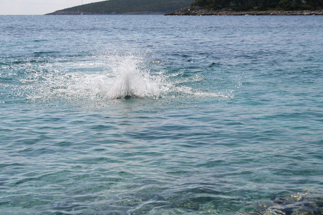 gal/cro 08/small-IMG_4944.JPG